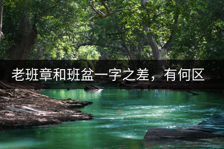 老班章和班盆一字之差，有何區(qū)別