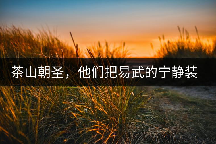 茶山朝圣，他們把易武的寧靜裝進心里，卻把成堆垃圾留在