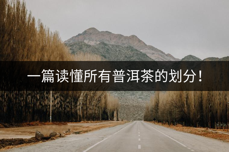 一篇讀懂所有普洱茶的劃分！