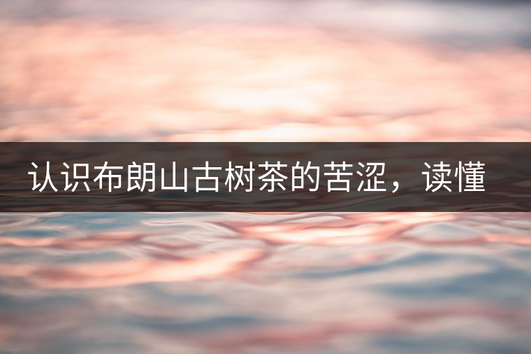 認識布朗山古樹茶的苦澀，讀懂勐海普洱茶