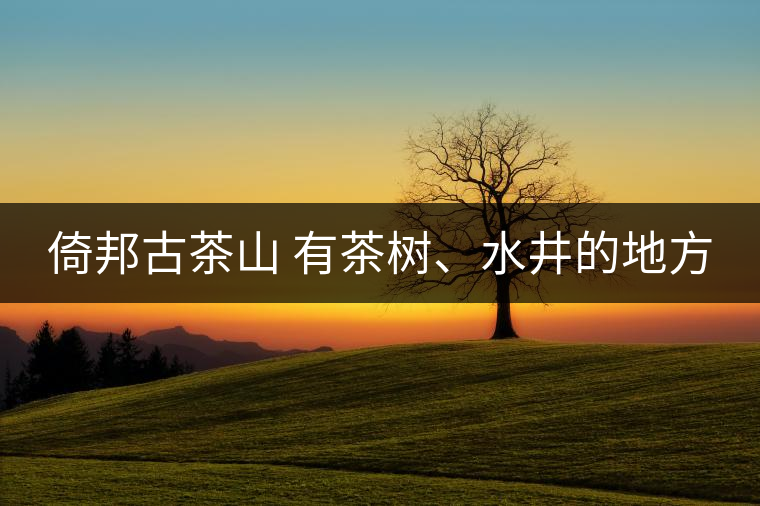 倚邦古茶山 有茶樹、水井的地方