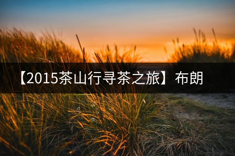 【2015茶山行尋茶之旅】布朗茶王之帕點(diǎn) 【2015茶山行尋茶之旅】布朗茶王之帕點(diǎn)