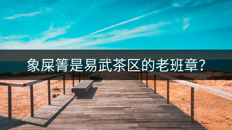 象屎箐是易武茶區(qū)的老班章？