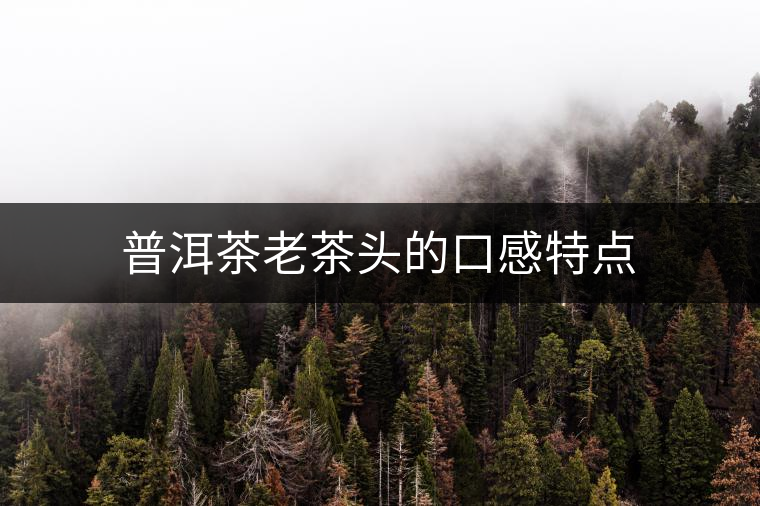 普洱茶老茶頭的口感特點(diǎn) 普洱茶老茶頭的口感特點(diǎn)