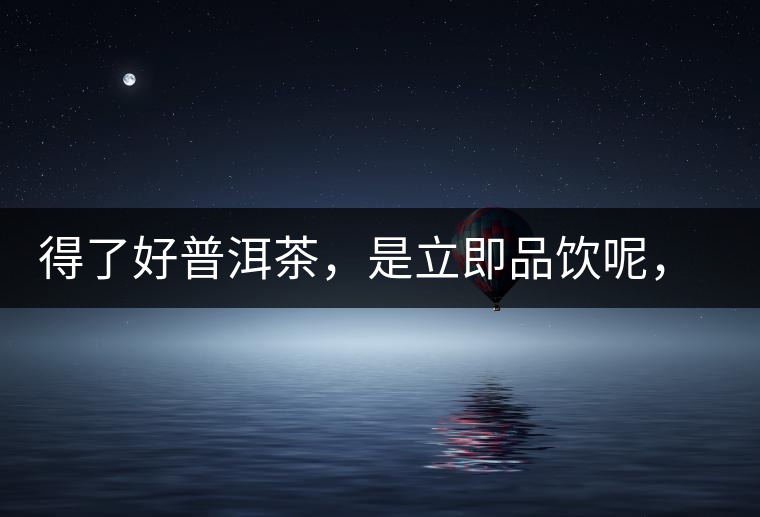 得了好普洱茶，是立即品飲呢，還是收藏？