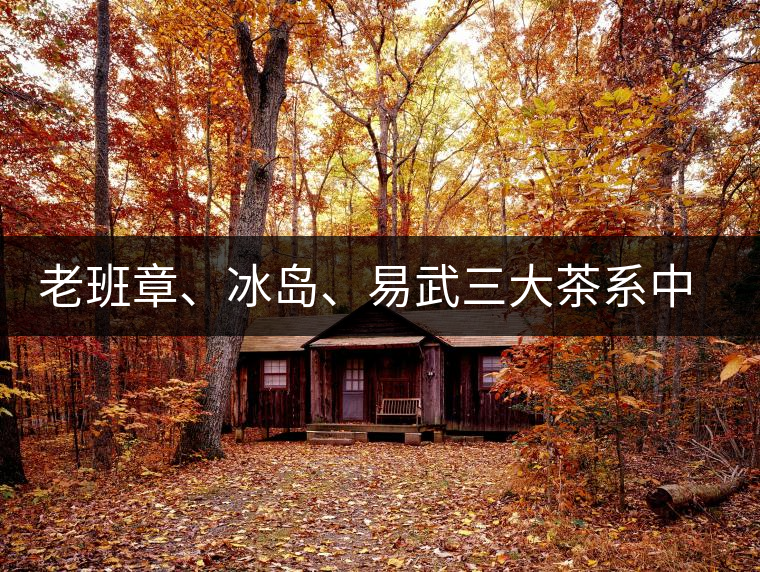 老班章、冰島、易武三大茶系中，“潛力股”為何是易武？