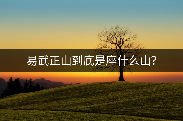 易武正山到底是座什么山？