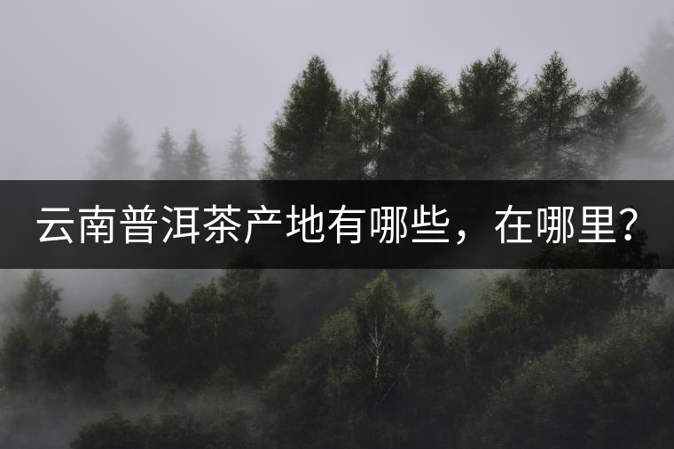 云南普洱茶產(chǎn)地有哪些，在哪里？