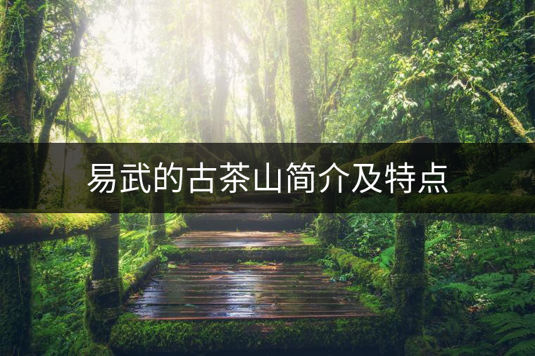 易武的古茶山簡介及特點(diǎn) 易武的古茶山簡介及特點(diǎn)