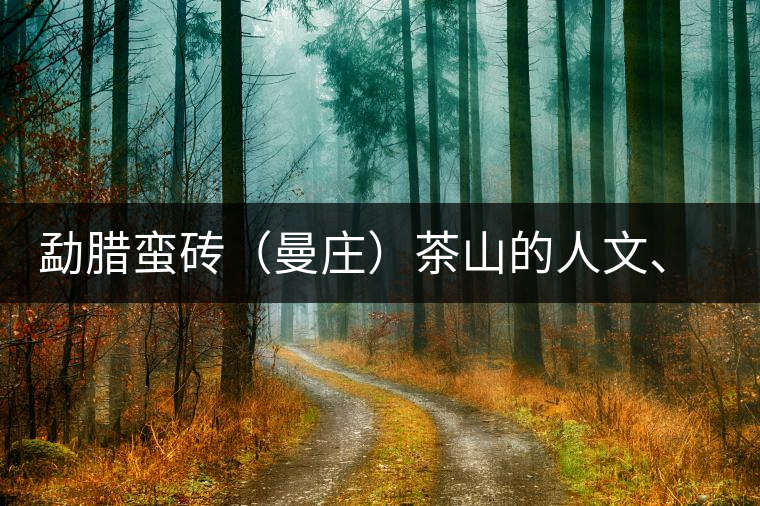 勐臘蠻磚（曼莊）茶山的人文、生態(tài)