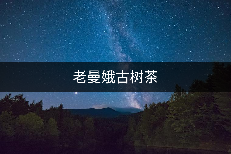 老曼娥古樹(shù)茶