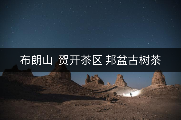 布朗山 賀開茶區(qū) 邦盆古樹茶 布朗山 賀開茶區(qū) 邦盆古樹茶