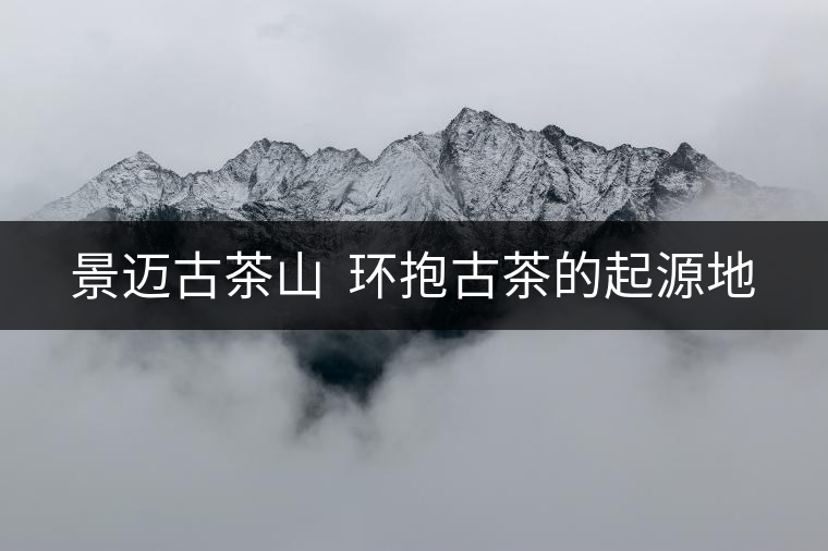 景邁古茶山 環(huán)抱古茶的起源地 景邁古茶山 環(huán)抱古茶的起源地