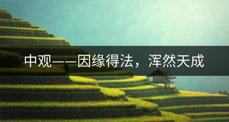 中觀——因緣得法，渾然天成