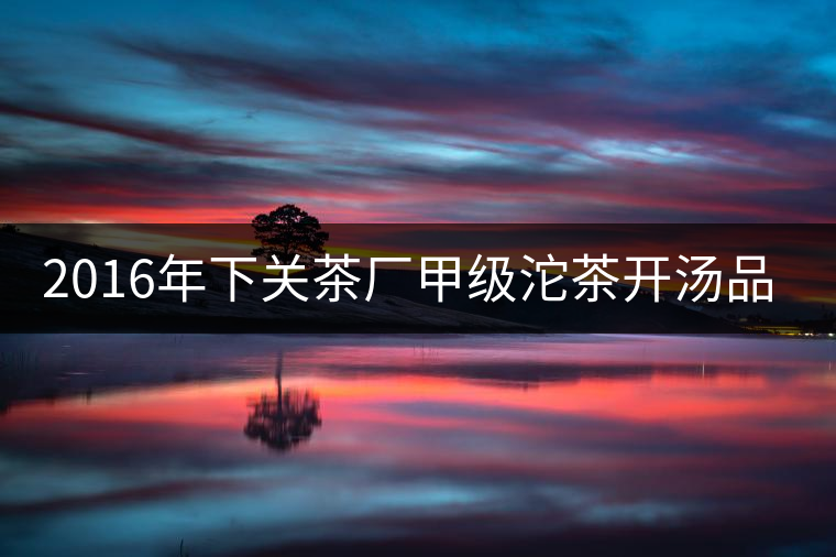 2016年下關(guān)茶廠甲級(jí)沱茶開湯品鑒