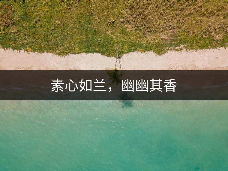 素心如蘭，幽幽其香