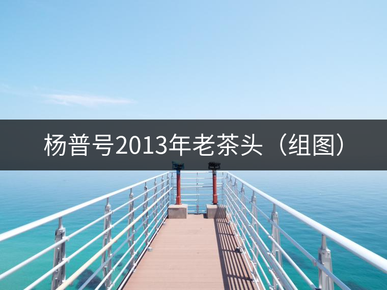楊普號2013年老茶頭(組圖) 楊普號2013年老茶頭(組圖)