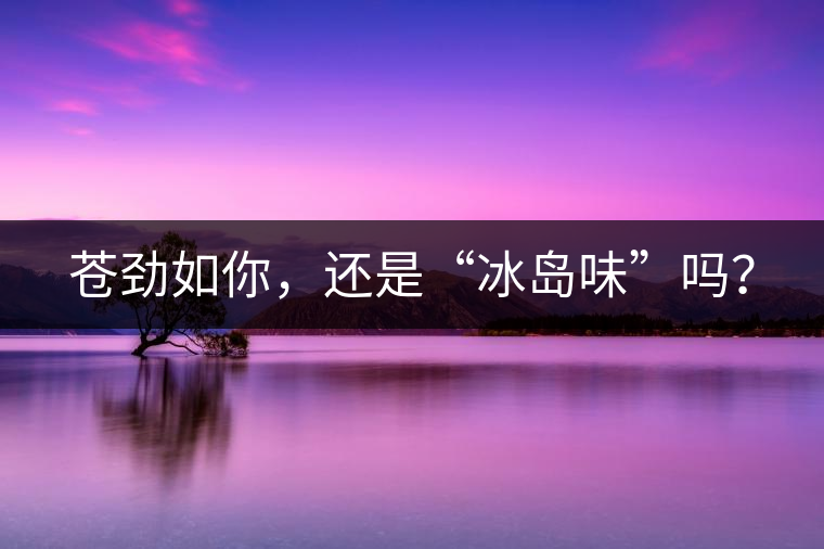 蒼勁如你，還是“冰島味”嗎？