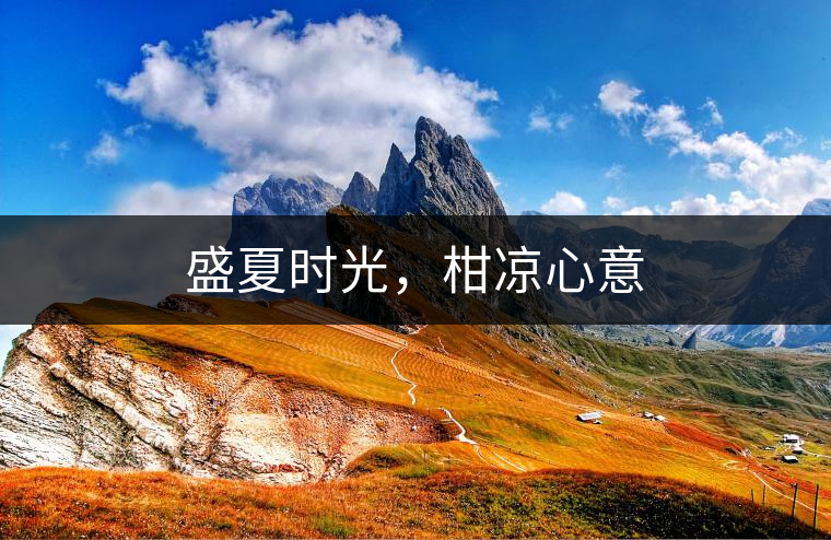 盛夏時(shí)光，柑涼心意