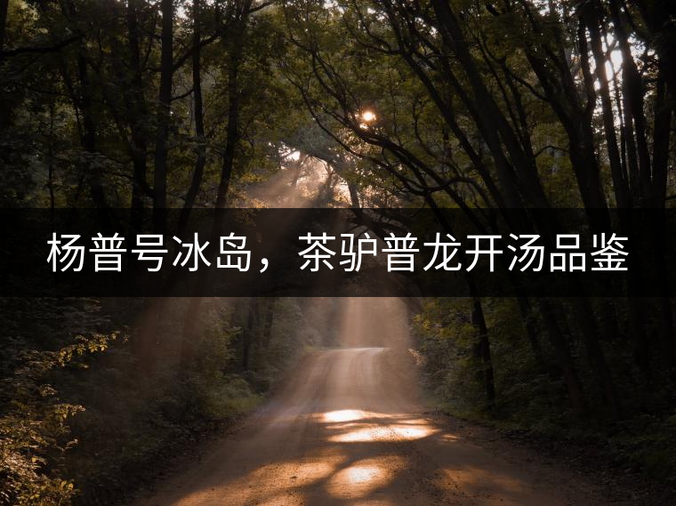 楊普號冰島，茶驢普龍開湯品鑒