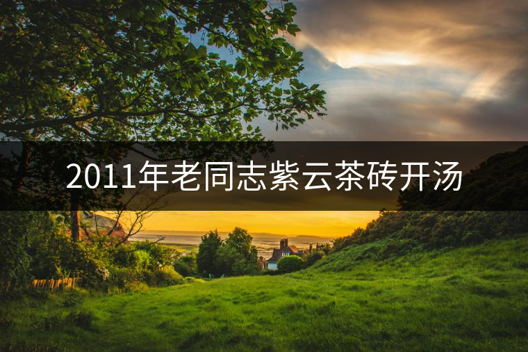 2011年老同志紫云茶磚開(kāi)湯