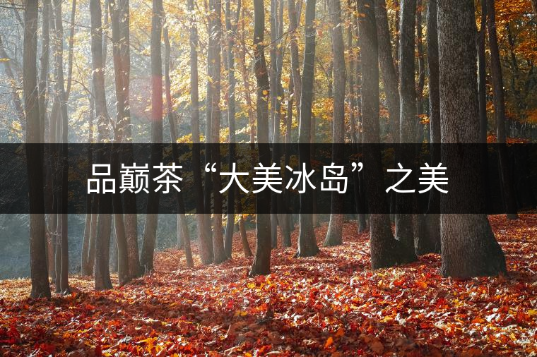 品巔茶“大美冰島”之美