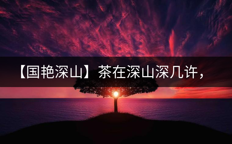 【國(guó)艷深山】茶在深山深幾許，布朗味釅釅幾分！