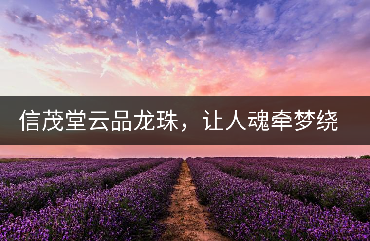 信茂堂云品龍珠，讓人魂?duì)繅衾@的尤物