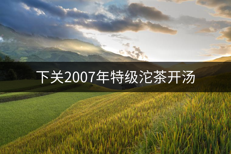 下關(guān)2007年特級沱茶開湯 下關(guān)2007年特級沱茶開湯