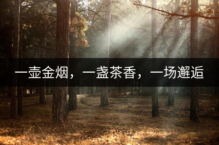 一壺金煙，一盞茶香，一場(chǎng)邂逅