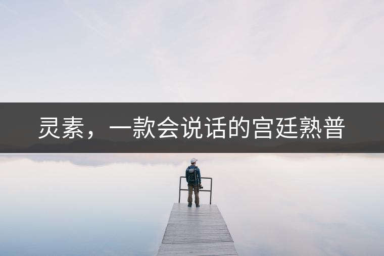 靈素，一款會(huì)說話的宮廷熟普