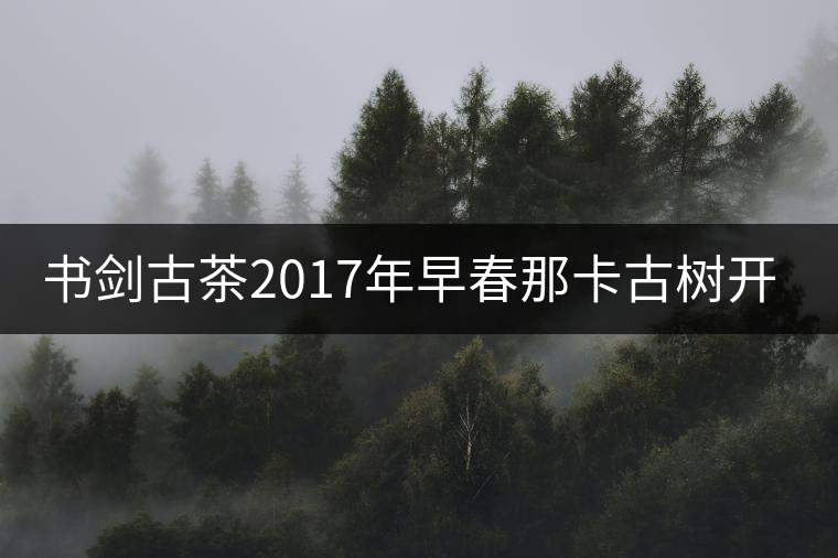 書劍古茶2017年早春那卡古樹開湯 書劍古茶2017年早春那卡古樹開湯