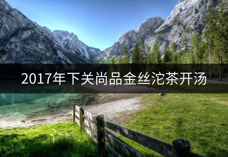 2017年下關(guān)尚品金絲沱茶開湯 2017年下關(guān)尚品金絲沱茶開湯