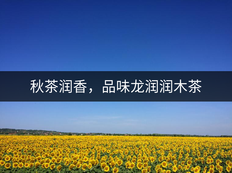 秋茶潤香，品味龍潤潤木茶
