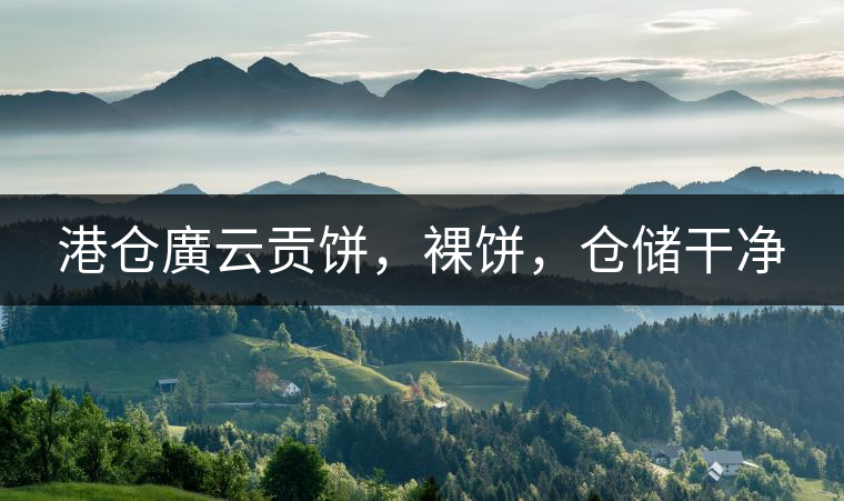 港倉(cāng)廣云貢餅，裸餅，倉(cāng)儲(chǔ)干凈