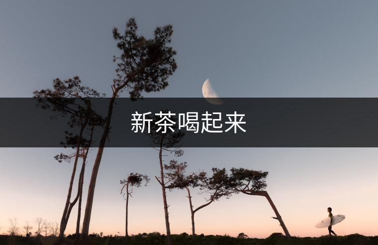 新茶喝起來 新茶喝起來