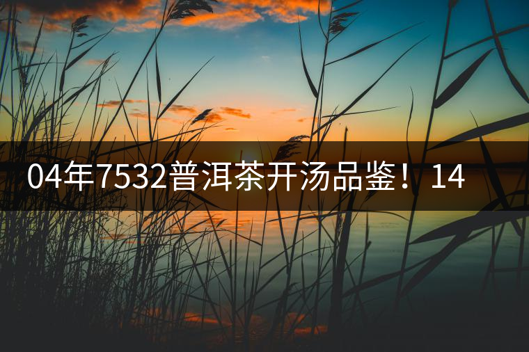04年7532普洱茶開湯品鑒！14年轉(zhuǎn)化，經(jīng)典雪印配方！