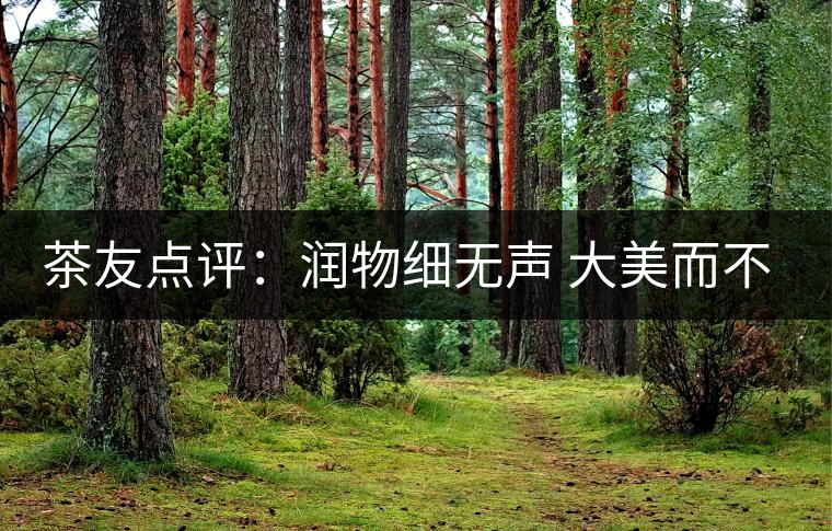 茶友點評:潤物細(xì)無聲 大美而不言——潤元昌大美之春熟茶 茶友點評:潤物細(xì)無聲 大美而不言——潤元昌大美之春熟茶