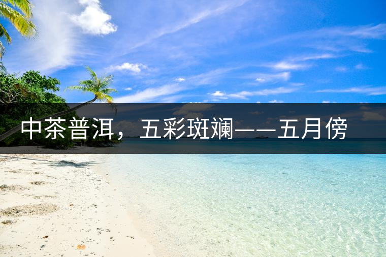 中茶普洱，五彩斑斕——五月傍晚，一道茶