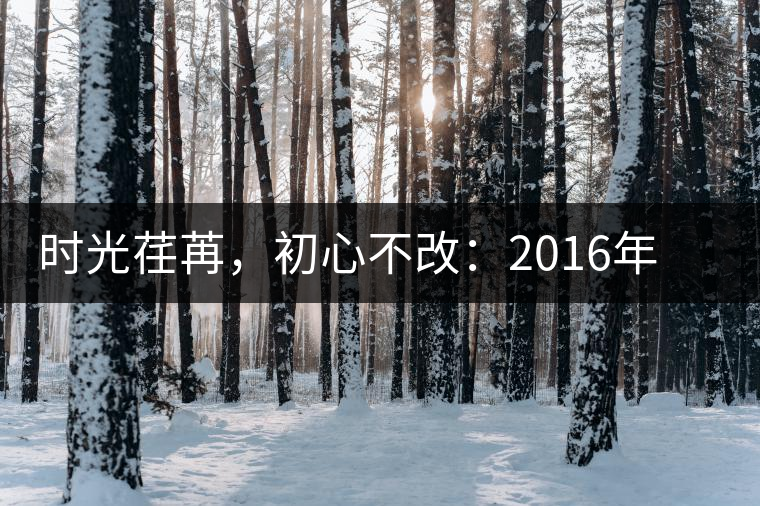 時(shí)光荏苒，初心不改：2016年老同志為天下人做好茶開(kāi)湯