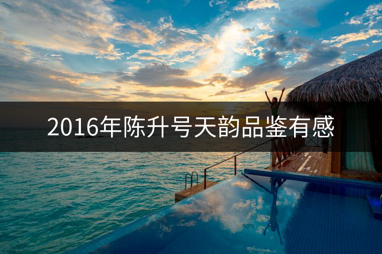 2016年陳升號天韻品鑒有感