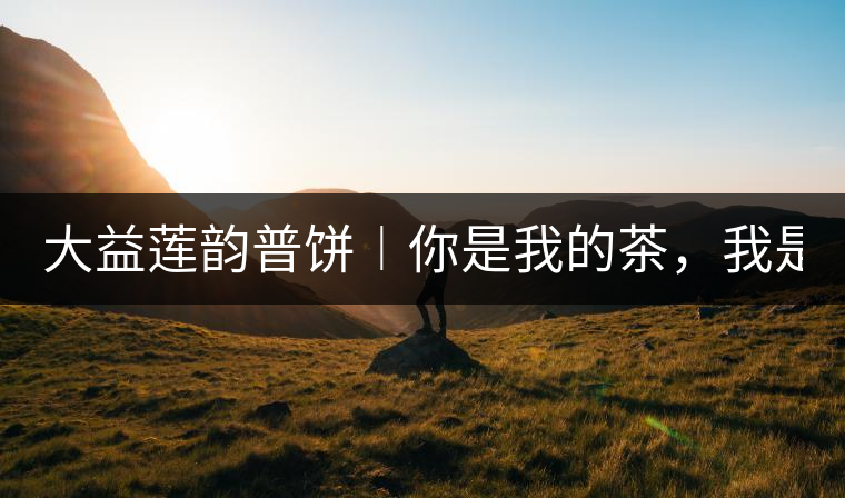 大益蓮韻普餅︱你是我的茶，我是你的人！