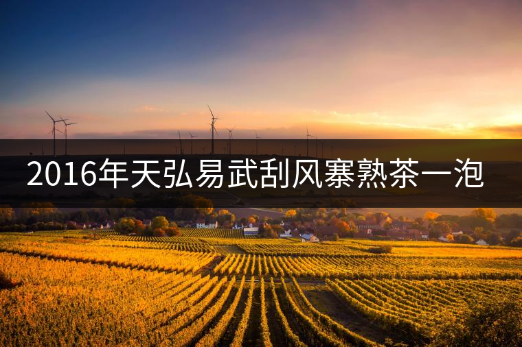 2016年天弘易武刮風(fēng)寨熟茶一泡耐人尋味！