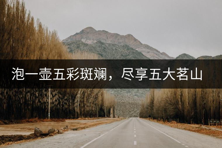 泡一壺五彩斑斕，盡享五大茗山之味