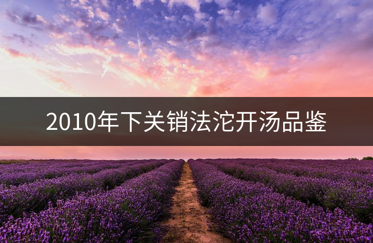 2010年下關(guān)銷法沱開(kāi)湯品鑒 2010年下關(guān)銷法沱開(kāi)湯品鑒