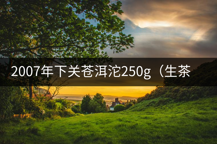 2007年下關蒼洱沱250g(生茶)品評 2007年下關蒼洱沱250g(生茶)品評