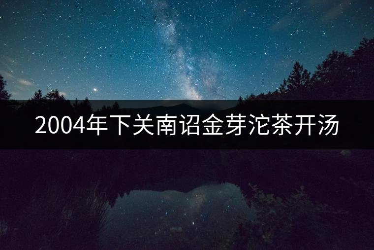 2004年下關南詔金芽沱茶開湯 2004年下關南詔金芽沱茶開湯