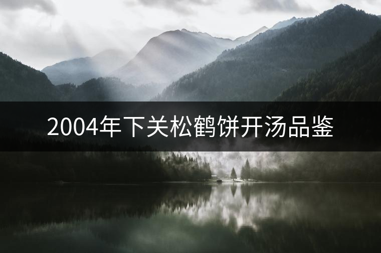 2004年下關松鶴餅開湯品鑒 2004年下關松鶴餅開湯品鑒
