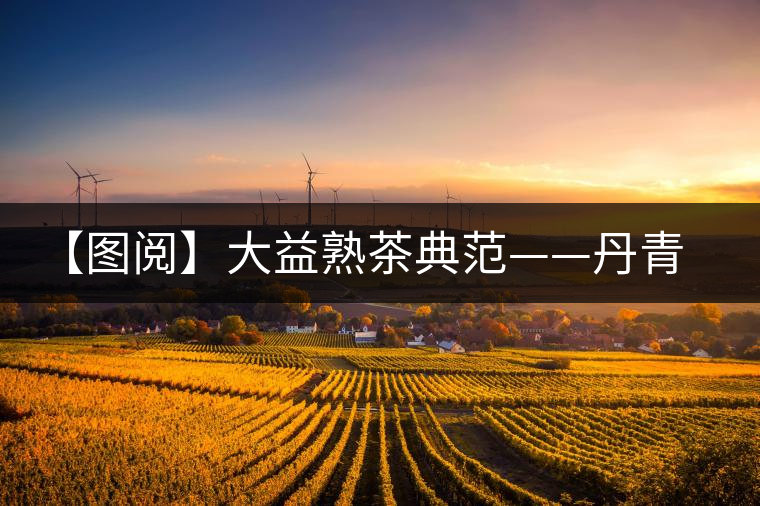 【圖閱】大益熟茶典范——丹青開湯 【圖閱】大益熟茶典范——丹青開湯