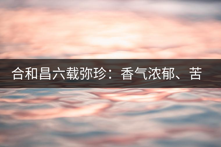 合和昌六載彌珍：香氣濃郁、苦澀均衡